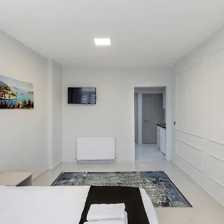 Cozy & Comfy Studio At Beyoglu - 49 Apartamento Estambul